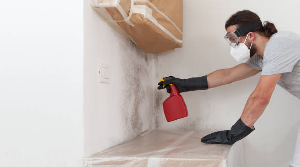 Professional Bathroom Mold Removal technician working in Mount Joy, PA